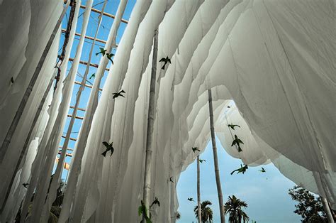 Abin Design Studio Creates Pavilion Of Canopies For Festival In India