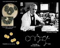 Alexander Fleming and discovery of penicillin. How many lifes has ...