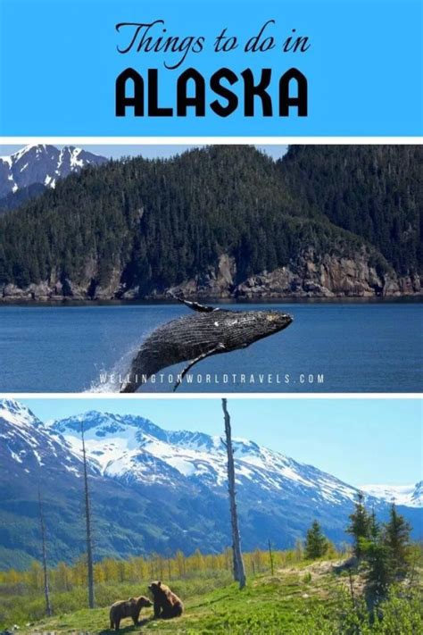 Top Things To Do In Alaska Alaska Bucket List Wellington World