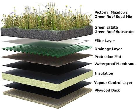 How To Design A Flat Roof That Wont Leak Architizer Green Roof