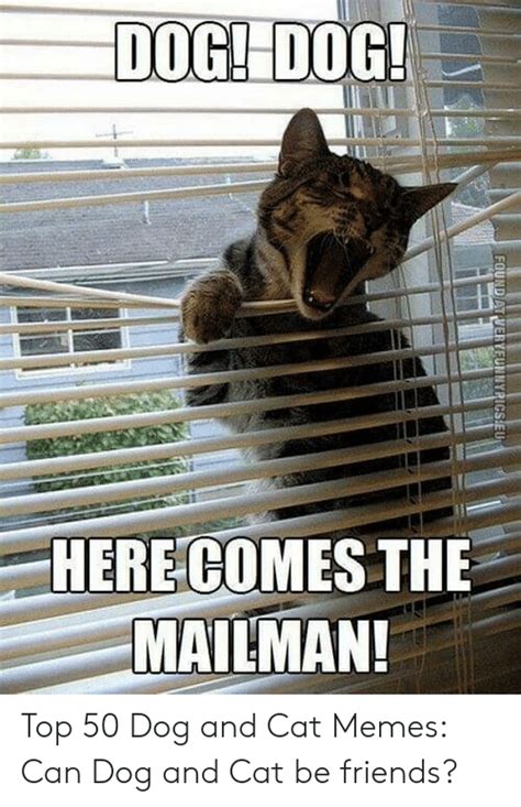Dog Dog Here Comes The Mailman Found At Veryfunnypicseu Top 50 Dog