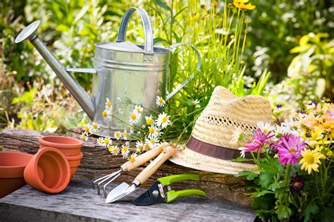 5 Tips To Prepare Your Garden For Spring Aronica Plant Health Care