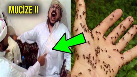 Evde Bulunan Karıncaları Öldürmek Günah Mıdır? Karıncaların