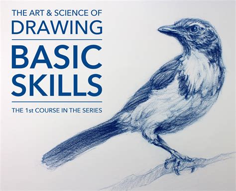 Basic Skills The Art And Science Of Drawing Series Flippednormals