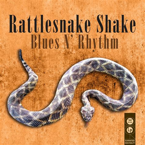 Rattlesnake Shake Blues N Rhythm Album Par Multi Interpr Tes