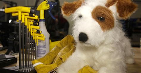 Center Uses Crash Test Dog Dummies To Study Safety Restraints Cbs Dfw