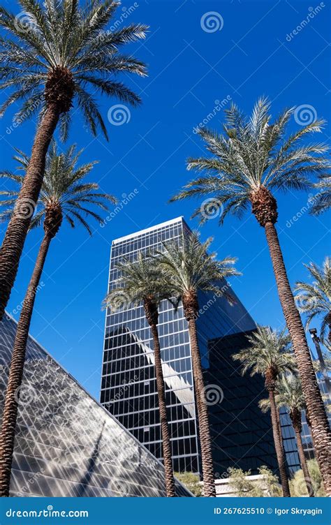 Palm Trees And Skyscrapers Against A Cloudless Blue Sky Bottom View