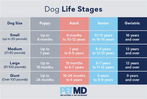Dog Developmental Stages Infographic — Behave Atlanta Llc Ph