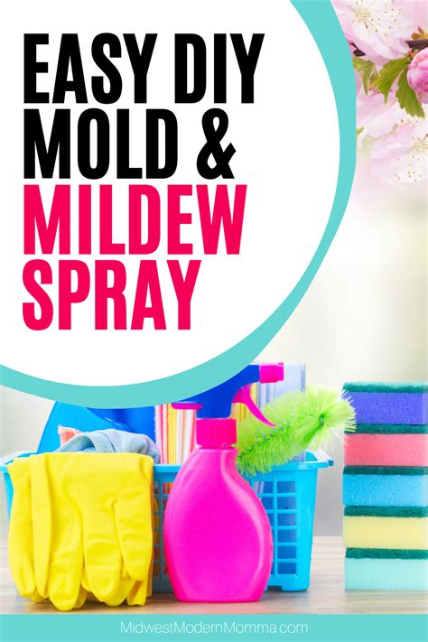 Homemade Mildew Removal Spray Mold Too Mildew Remover Mold And