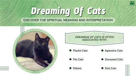 What Does It Mean To Dream About A Black Cat Catbyst