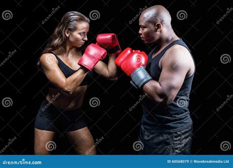 Male And Female Boxer With Fighting Stance Stock Image Image Of