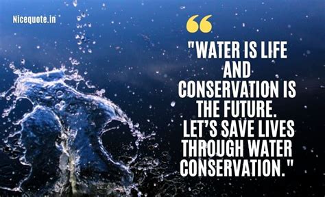 50 World Best Slogans On Save Water And Save Water Quotes October 2023
