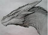 How to draw a dragon's body. Dragon Sketch by TatianaMakeeva on DeviantArt