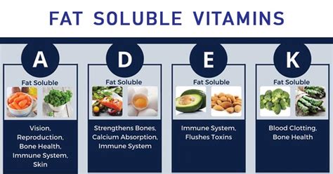 Check spelling or type a new query. Definitive Guide To Fat-Soluble Vitamins