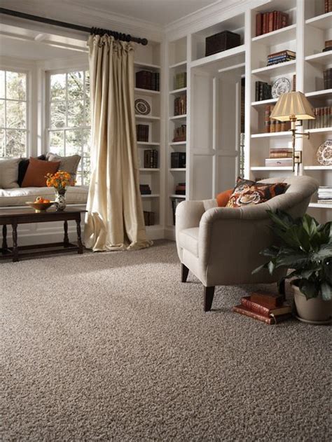 Stainmaster Carpet Idea Gallery Carpets Rugs Brown Carpet Living