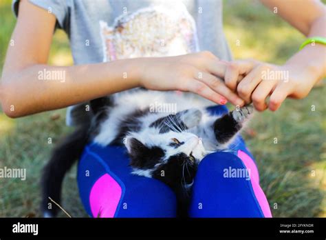 defocus girl playing with cat black and white small kitten nature green summer background