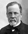 Top 20 interesting facts about Louis Pasteur - Discover Walks Blog