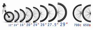 Bicycle Wheel Size Guide 12 Quot To 29 Quot