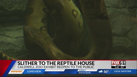 Caldwell Zoo Reopens Reptile House Featuring Ana The Anaconda Youtube