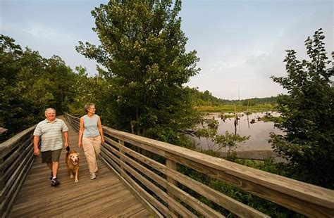 Greensprings Interpretive Trail Relax Williamsburg