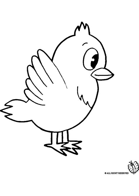 11 Incroyable Jolie Oiseau Coloriage Gallery  COLORIAGE