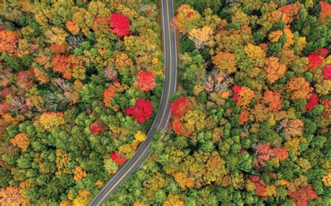 West Virginia Releases 2022 Fall Foliage Map Al Jazeera News Today