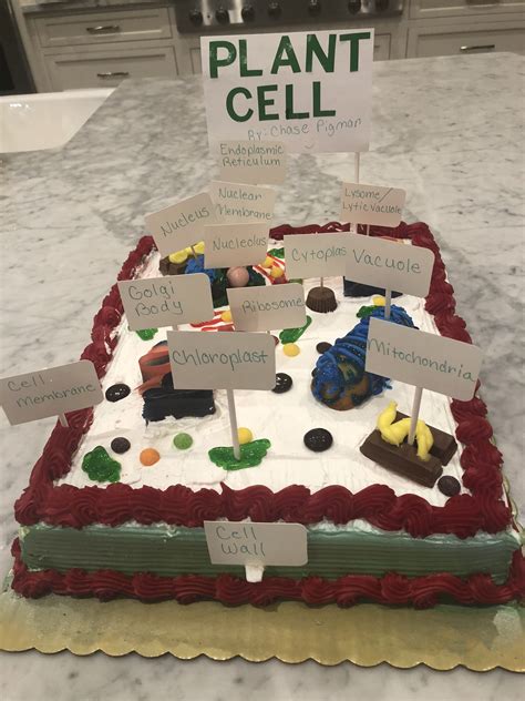 35 Edible Plant Cell Project