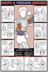 Good Shoulder Workouts Images