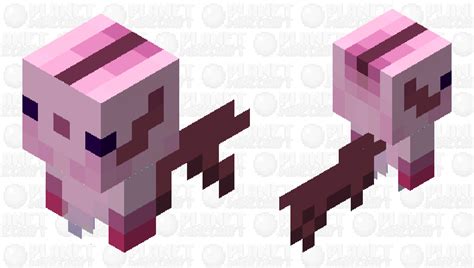 Axolotl Allay Minecraft Mob Skin