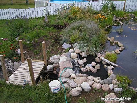 Build A Garden Stream For Pond As Natural Filter