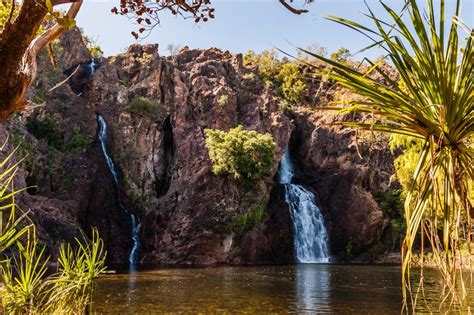 Litchfield National Park Everything To Know Before You Visit Travel