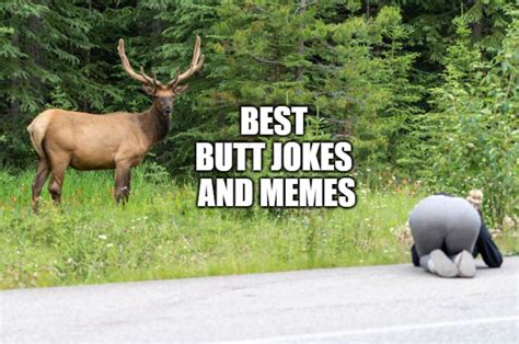 40 Funny Butt Puns And Jokes That Will Make You Laugh Eastrohelp
