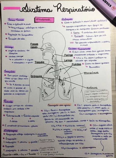 Nurse Study Notes Nursing Study Nursing School Notes Medical School