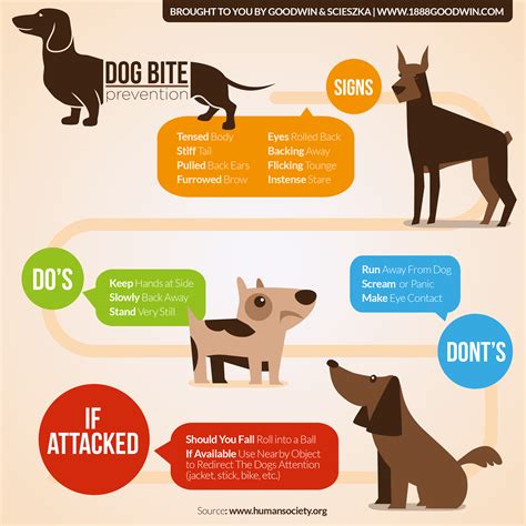 Dog Bite First Aid Dos And Donts