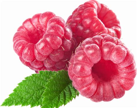 Wallpaper Food Fruit Raspberries Flower Berry Background Sweet