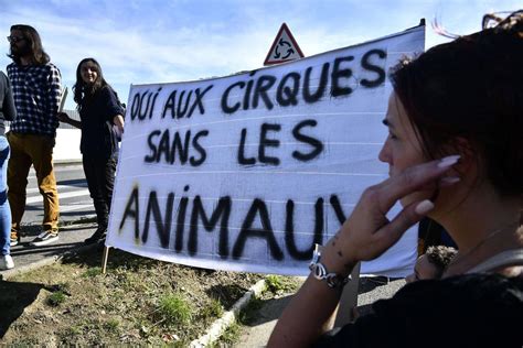 Lot Et Garonne Ils Ont Manifesté Contre Les Cirques Avec Animaux