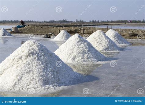 The Making Of Sea Salt In Salt Farm Stock Photo Image Of Salt
