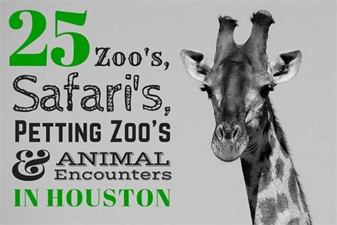 There is a buy now button on the left hand colomn of either the petting zoo page or the animal show page that takes you to paypal for a $75 payment that is credited towards your balance. Zoo's, Safari's, Petting Zoo's and places to see animals ...