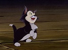 Figaro ️ | Disney cats, Aesthetic cartoon, Figaro cat