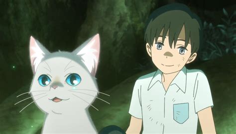 A Whisker Away Nakitai Watashi Wa Neko O Kaburu Anime Movies Otaku