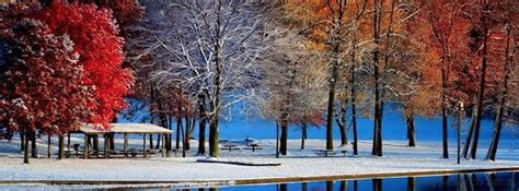 Fall Or Winter And Facebook Cover Photo In 2020 Cover Photos Winter