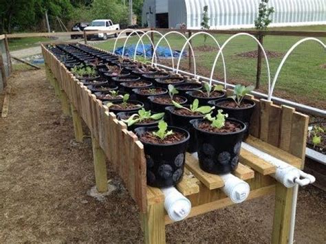 These homemade greenhouse ideas make use of recycled household materials in a fun new way. Why The Rain Gutter Grow System Is Like No Other Gardening ...