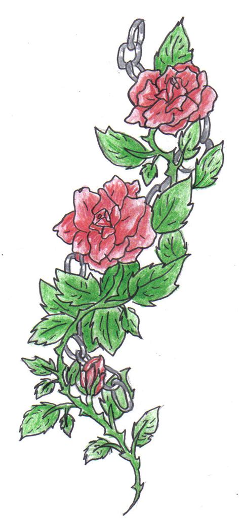 Rose Vine Drawing At Getdrawings Free Download