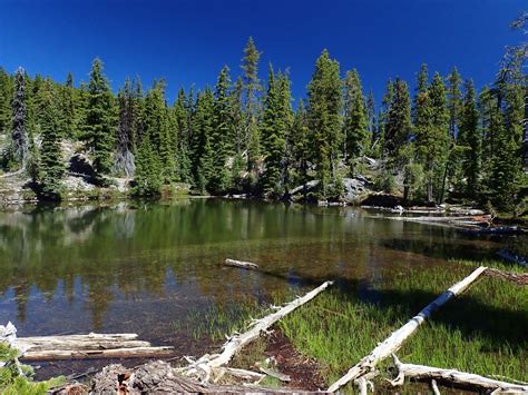 One Of The Snow Lakes Just East Of The Pct