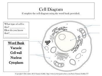 Animal cells are generally smaller than plant cells and lack a cell wall and chloroplasts; Plant and Animal Cell Worksheet and Fill-in-the-blank by ...