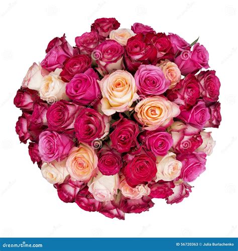 Big Bunch Of Roses Stock Image Image Of Love Fresh 56720363