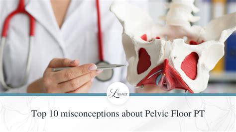 Top Misconceptions About Pelvic Floor Physical Therapy Legacy Physical Therapy