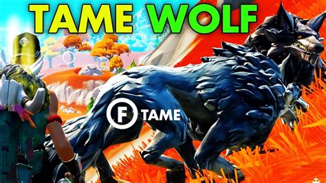 How To Tame Wolf In Fortnite Without Getting Hit Youtube