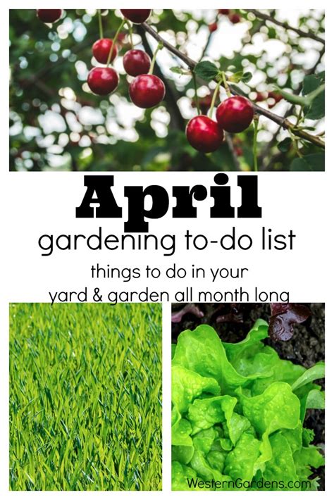 April Gardening To Do List Western Garden Centers