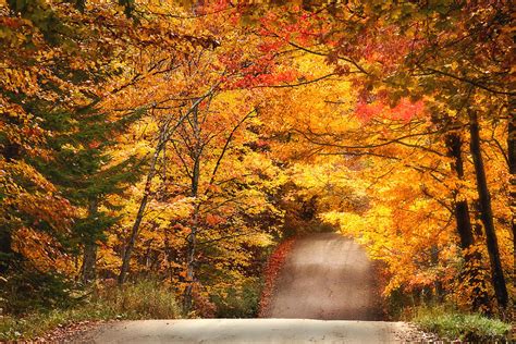 Autumn Country Road Photograph By Wade Crutchfield